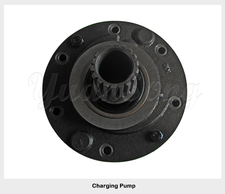 TCM forklift Charging Pump