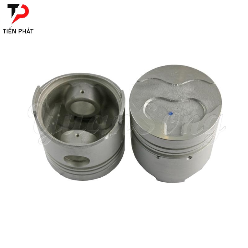 12010-T7204 Nissan Piston